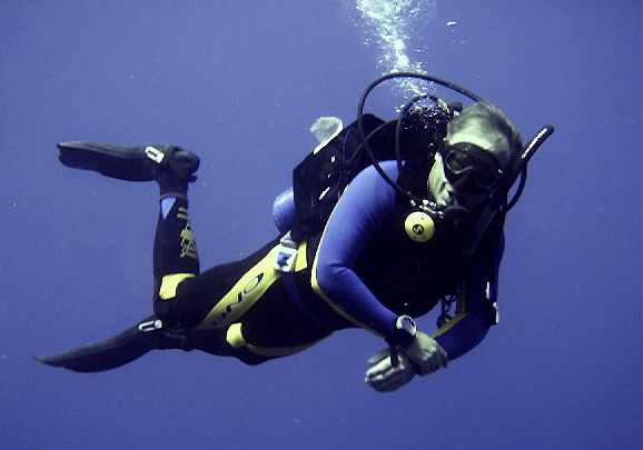 collecting corals